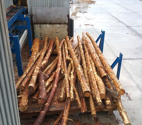 <span style="font-weight: bold;">Брак</span>