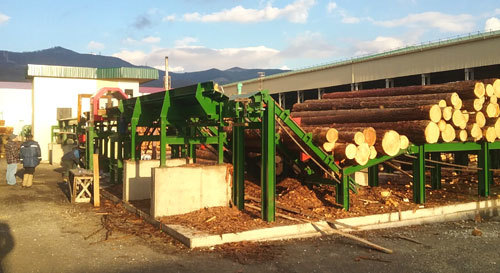 <span style="font-weight: bold;">Механический разобщитель</span>